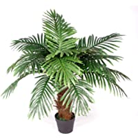 Leaf Design UK - Palmera Artificial de Princesas (100 cm)- Color marrón
